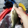5 Main Advantages of Kayak Fishing