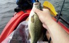 kayak fishing