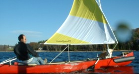 sunflowersail