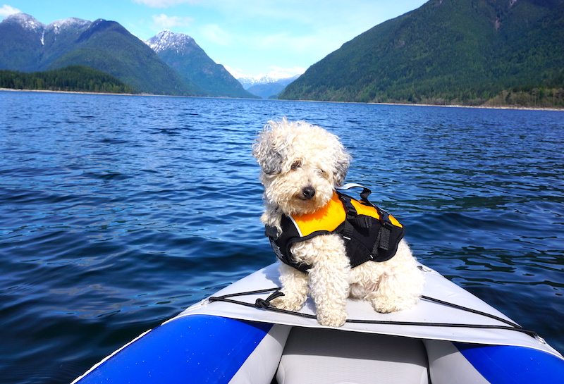 Jax sitting on top of the Sea Eagle 380X inflatable kayak spray skirt