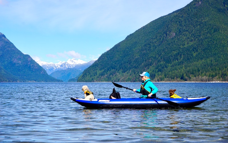 kayaking in the sea eagle 380x explorer inflatable kayak with my two dogs