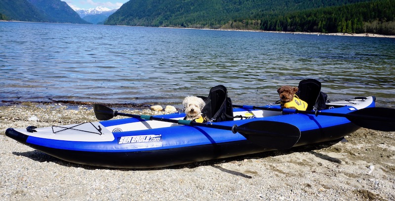 my dogs sitting in the 380x inflatable kayak