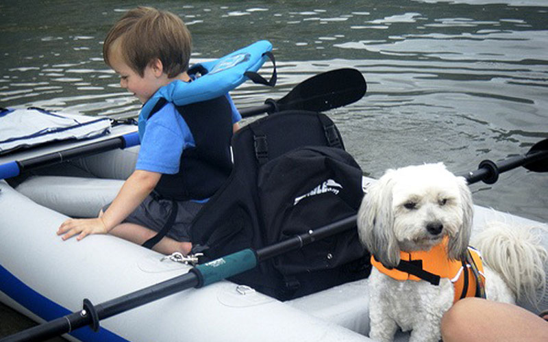 kayaking with kids and dogs