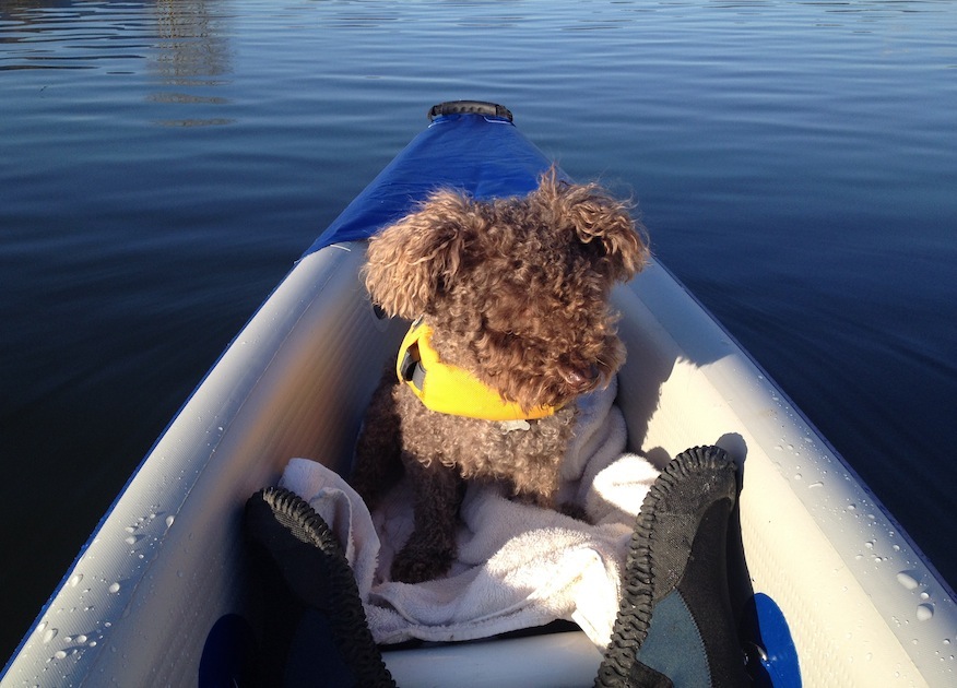 paddling the 393rl inflatable kayak with my dog Seth