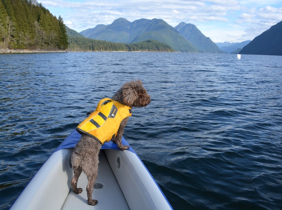 inflatable kayaking with my dog Seth