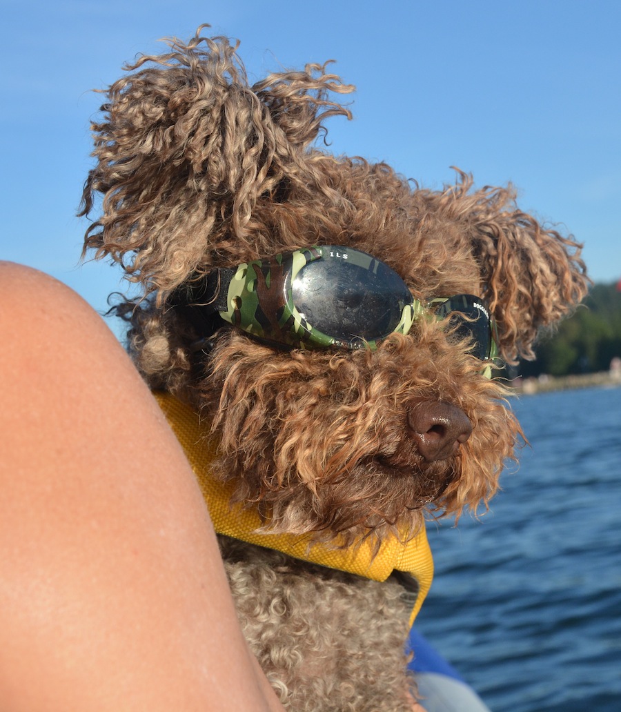 paddling with Seth wearing his Doggles