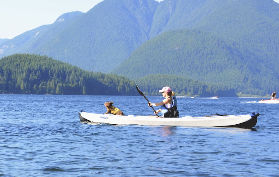 kayak paddle material