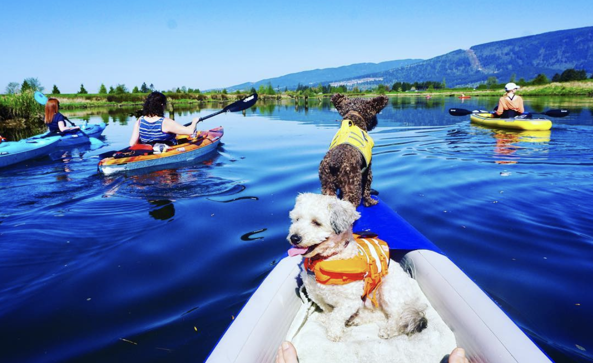 kayaking adventures