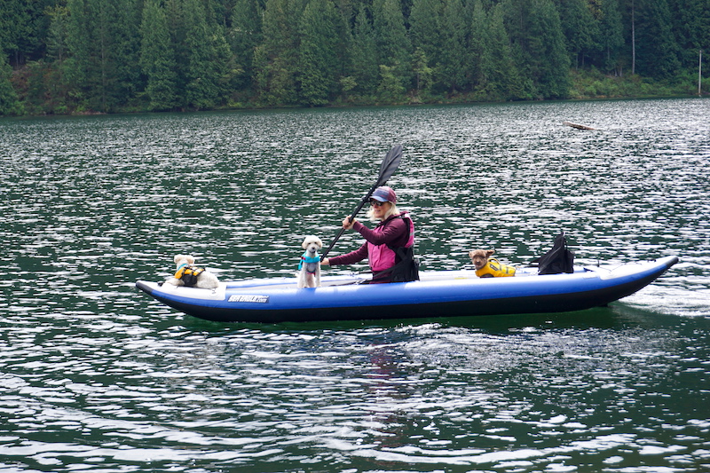 kayaking the Sea Eagle 420x explorer inflatable kayak wth my three dogs